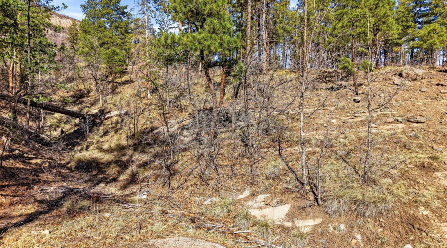 12WPergatoryDr-Alpine-AZ-3