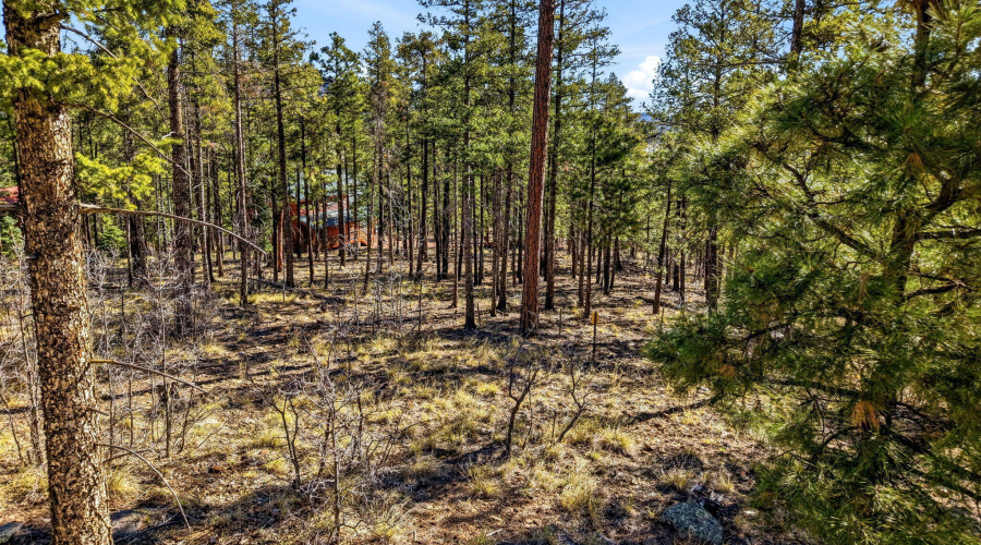12WPergatoryDr-Alpine-AZ-4