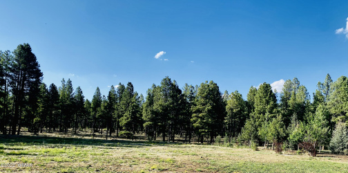 9592 Sierra Springs Drive, Pinetop, Arizona 85935, ,Land,For Sale,Sierra Springs,260067