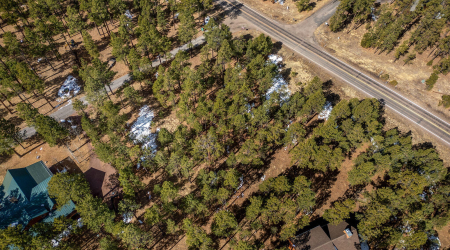 3N1062-Greer-AZ-10