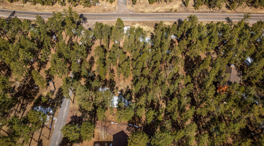 3N1062-Greer-AZ-11