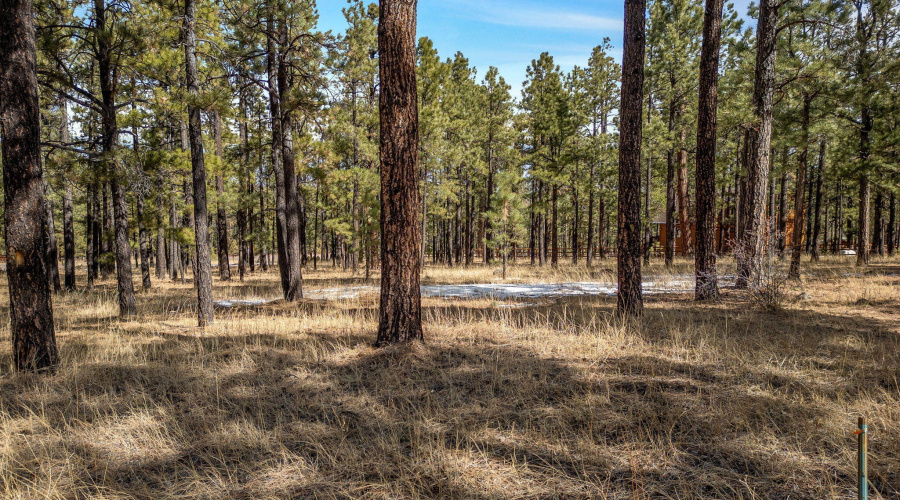 3N1062-Greer-AZ-14
