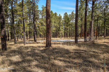 3 N1062, Greer, Arizona 85927, ,Land,For Sale,N1062,260087