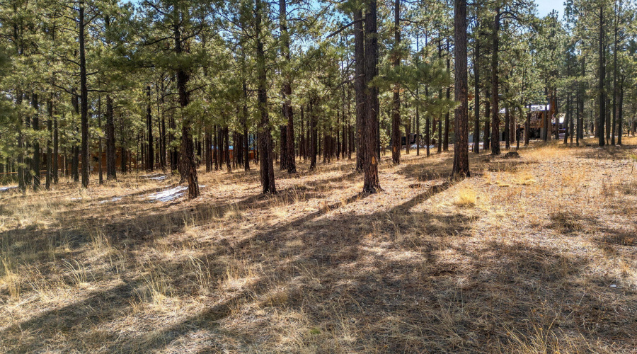 3 N1062 Greer, AZ