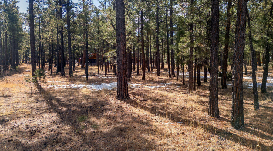 3N1062-Greer-AZ-2