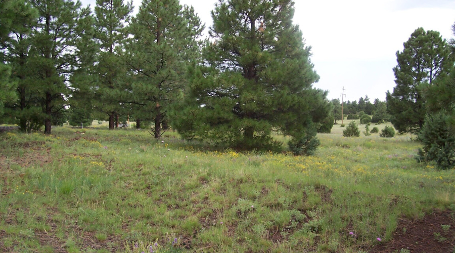Ranch-Farm059