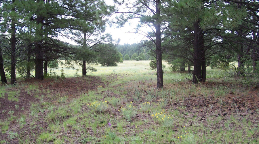 Ranch-Farm060
