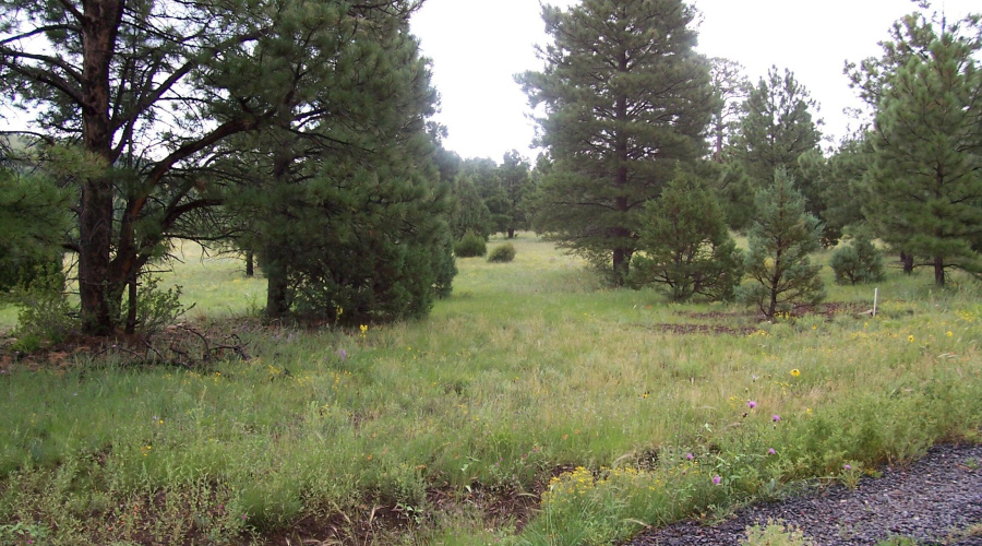 Ranch-Farm063