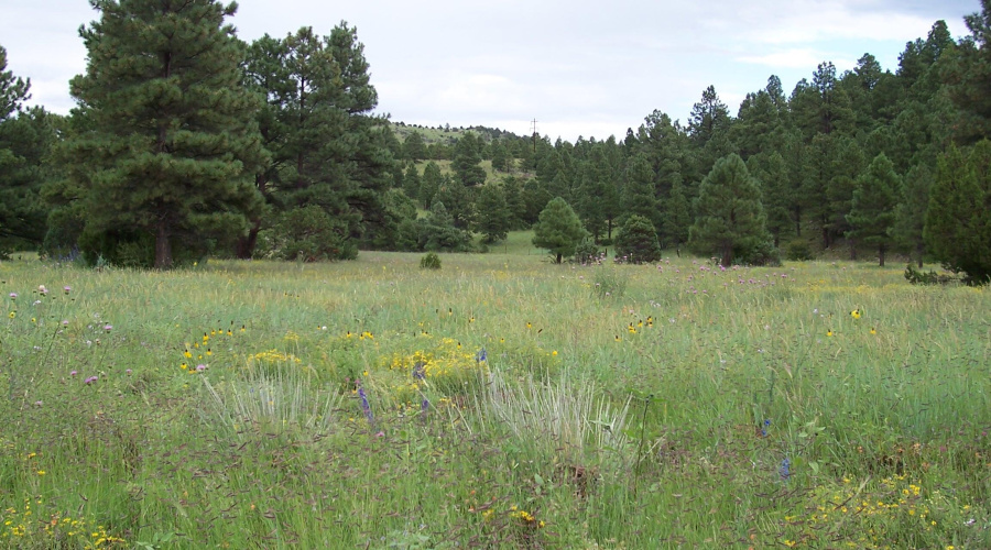 Ranch-Farm014