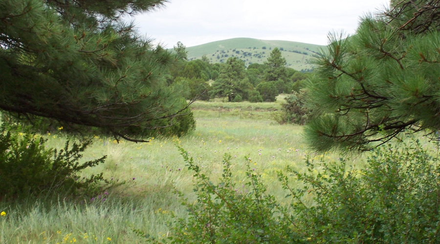 Ranch-Farm023