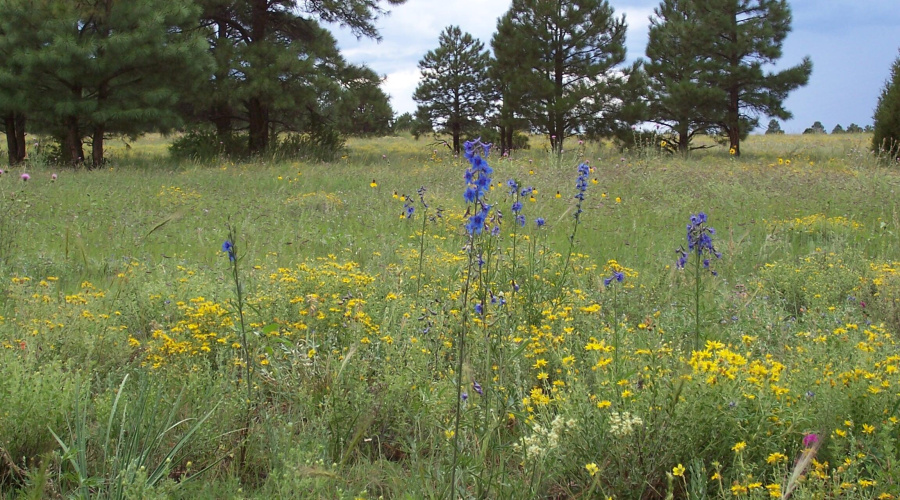 Ranch-Farm025
