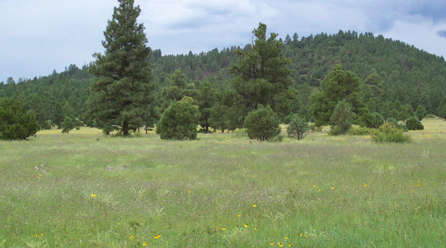 Ranch-Farm038