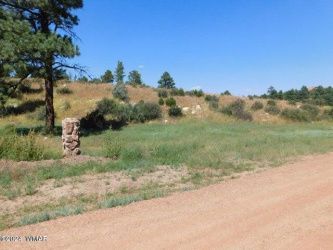 2806-2808 Pine Hill Drive, Overgaard, Arizona 85933, ,Land,For Sale,Pine Hill,93640