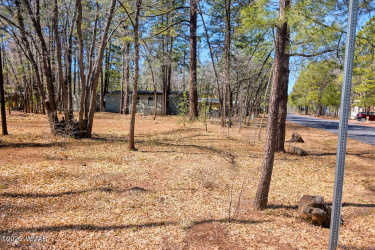 4446 Bucking Horse Trail, Pinetop, Arizona 85935, ,Land,For Sale,Bucking Horse,260124