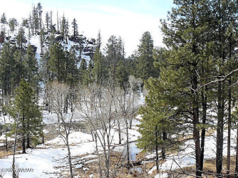 3369 Windy Lane, Heber, Arizona 85928, ,Land,For Sale,Windy,260122