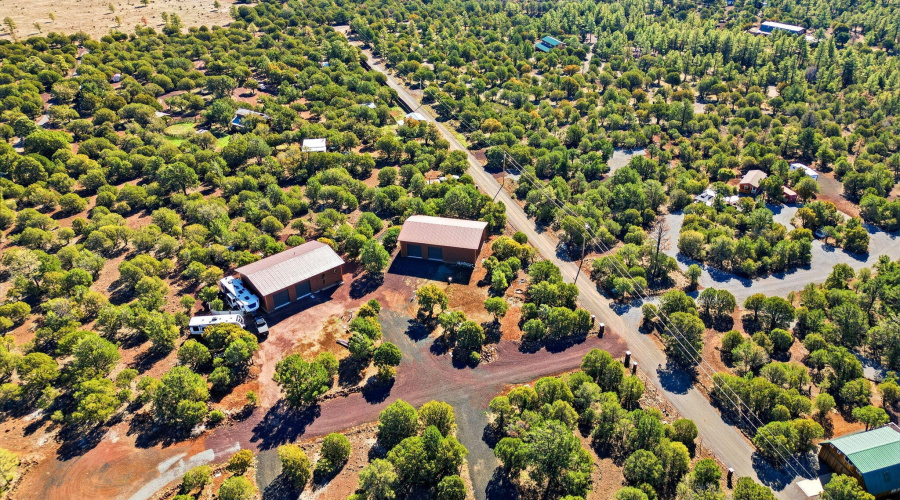 Easy Access to Forest Trails!
