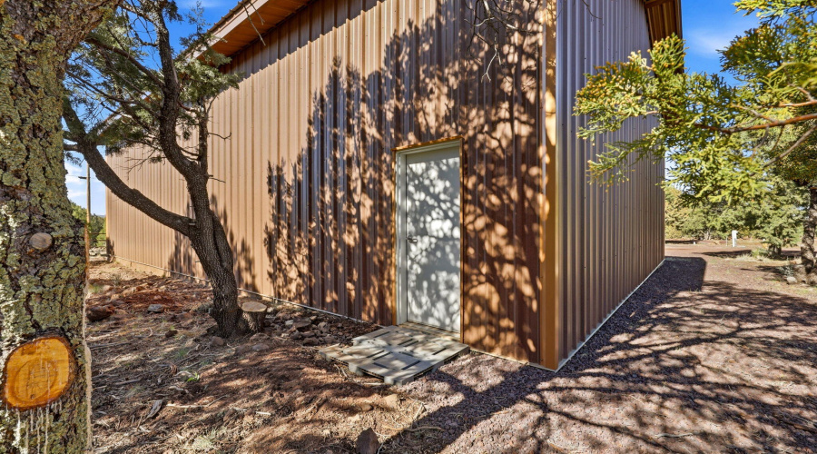 Back door of Garage area