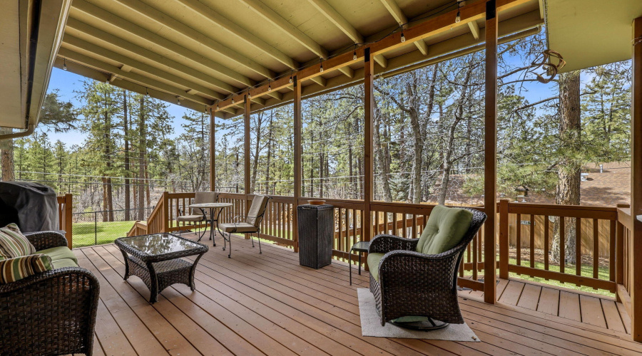 233ETurkeyTrackLn-PinetopLakeside-AZ-40