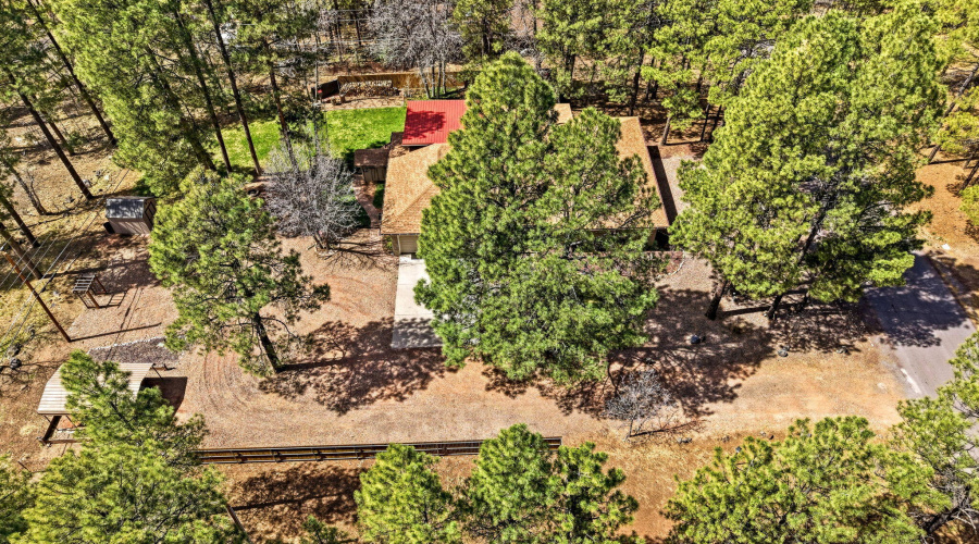233ETurkeyTrackLn-PinetopLakeside-AZ-48