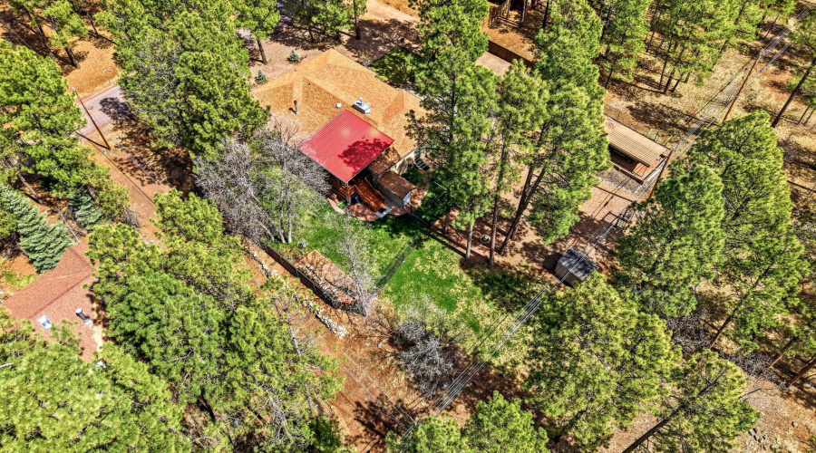 233ETurkeyTrackLn-PinetopLakeside-AZ-49