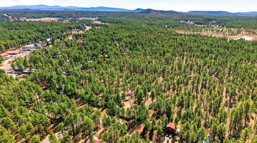 233ETurkeyTrackLn-PinetopLakeside-AZ-52