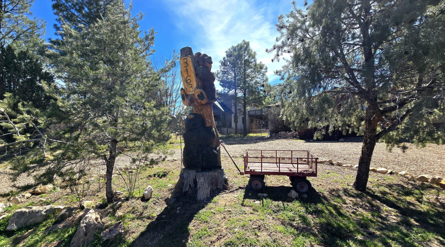 Front yard