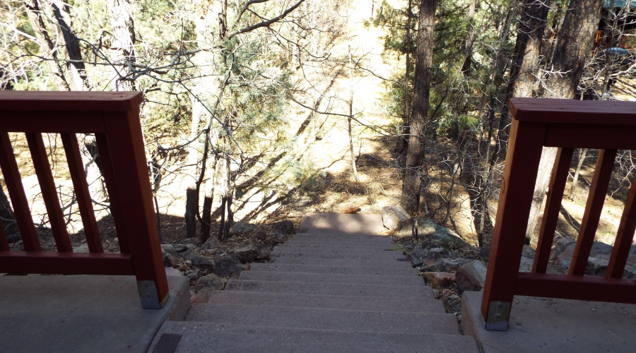 rear steps