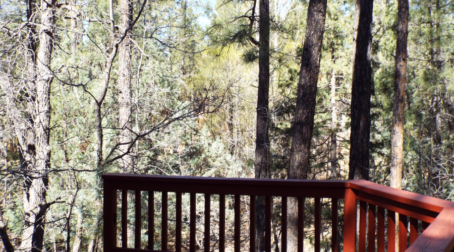 view from deck