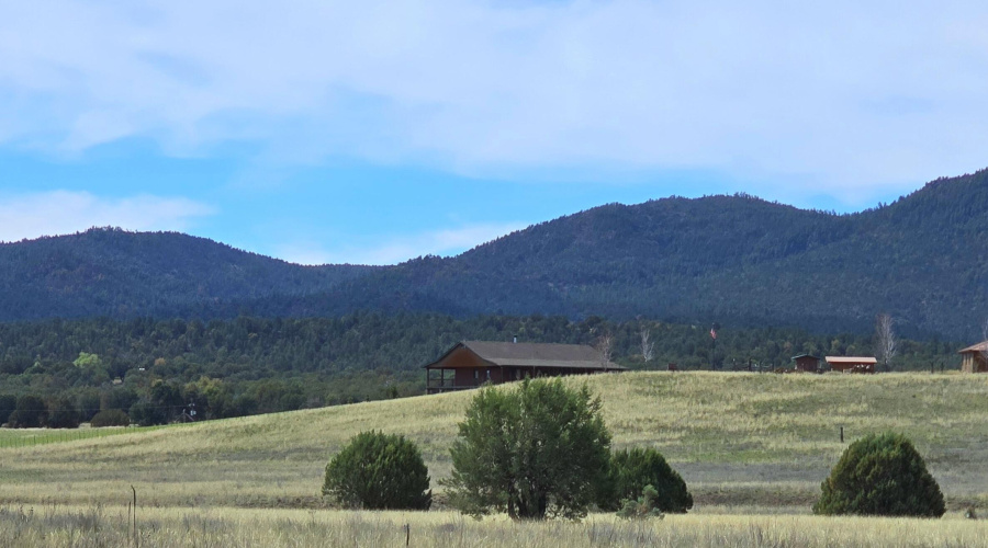 4.9 Acres Slopes Gently