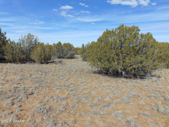 51 & 49 County Road 8243 Road, Vernon, Arizona 85940, ,Land,For Sale,County Road 8243,260136