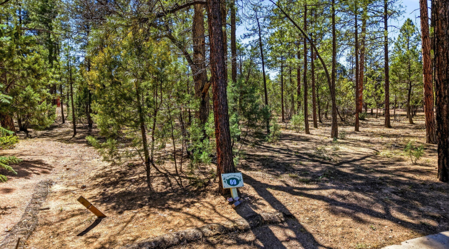 5039WinterHawkCt-Lakeside-AZ-2