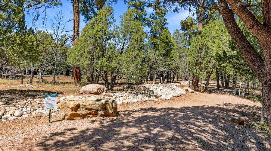 5039WinterHawkCt-Lakeside-AZ-Ground-4