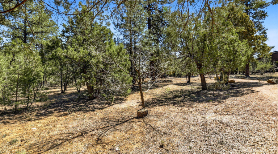 5039WinterHawkCt-Lakeside-AZ-Ground-1