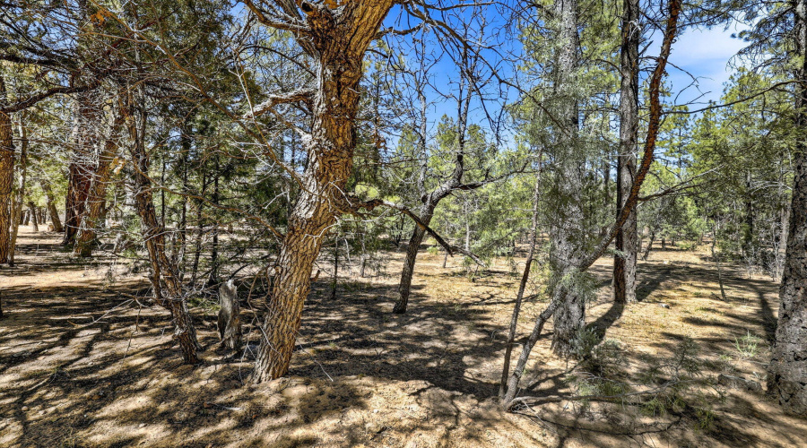 5039WinterHawkCt-Lakeside-AZ-Ground-2
