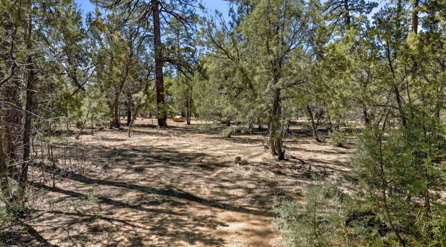 5039WinterHawkCt-Lakeside-AZ-Ground-3