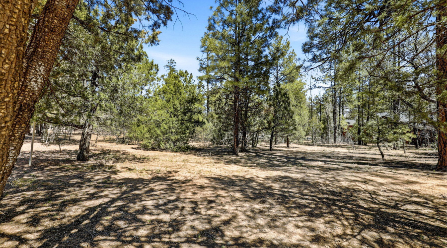 5039WinterHawkCt-Lakeside-AZ-Ground-5