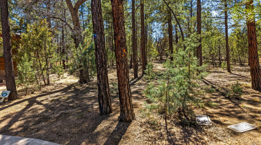 5039WinterHawkCt-Lakeside-AZ-1