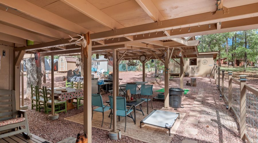 Back patio