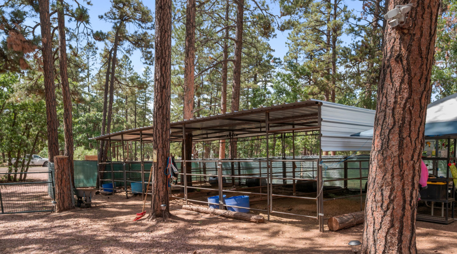 Horse stalls
