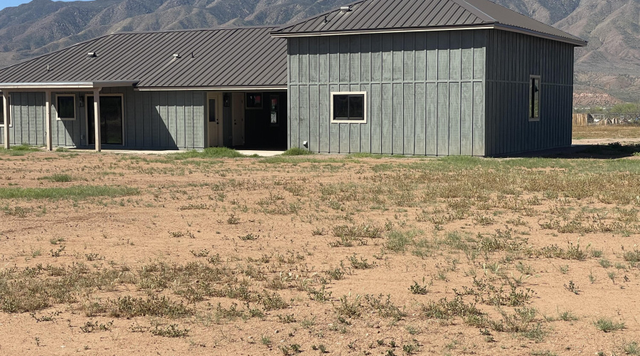 Back yard