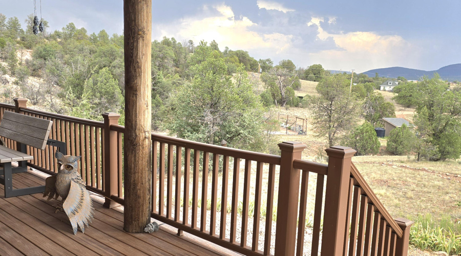Frt Porch View over the Railing
