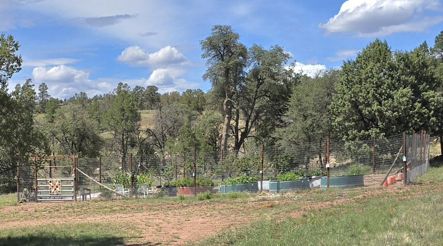 Garden Fenced & Gated