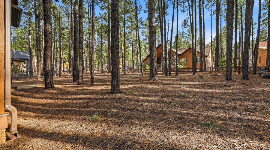 8505PinewoodDr-Pinetop-AZ-51