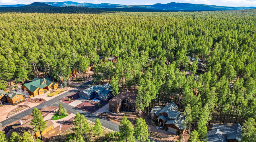8505PinewoodDr-Pinetop-AZ-53
