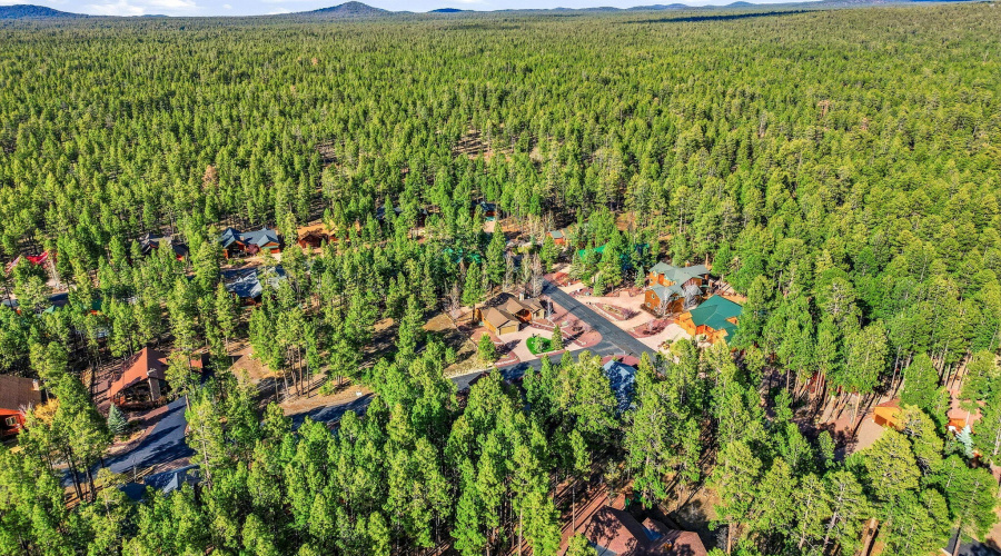 8505PinewoodDr-Pinetop-AZ-55