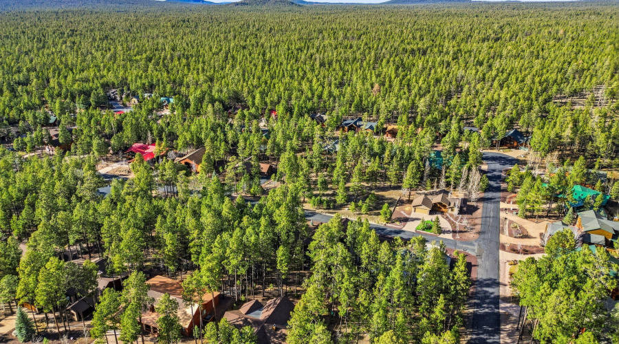8505PinewoodDr-Pinetop-AZ-56