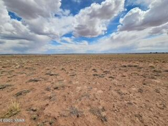 TBD Sheri 105-50-035 Road, Sun Valley, Arizona 86029, ,Land,For Sale,Sheri 105-50-035,257801