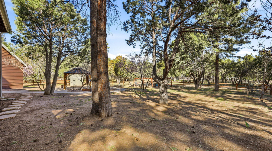 2232ForestParkDr-HeberOvergaard-AZ-30