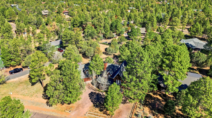 2232ForestParkDr-HeberOvergaard-AZ-38