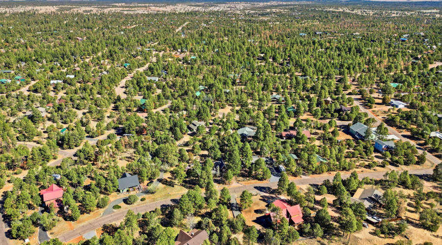 2232ForestParkDr-HeberOvergaard-AZ-39